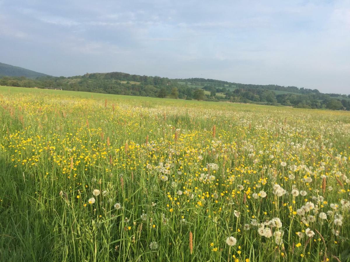 Fewo Haus Emma Og Loehnberg Bagian luar foto
